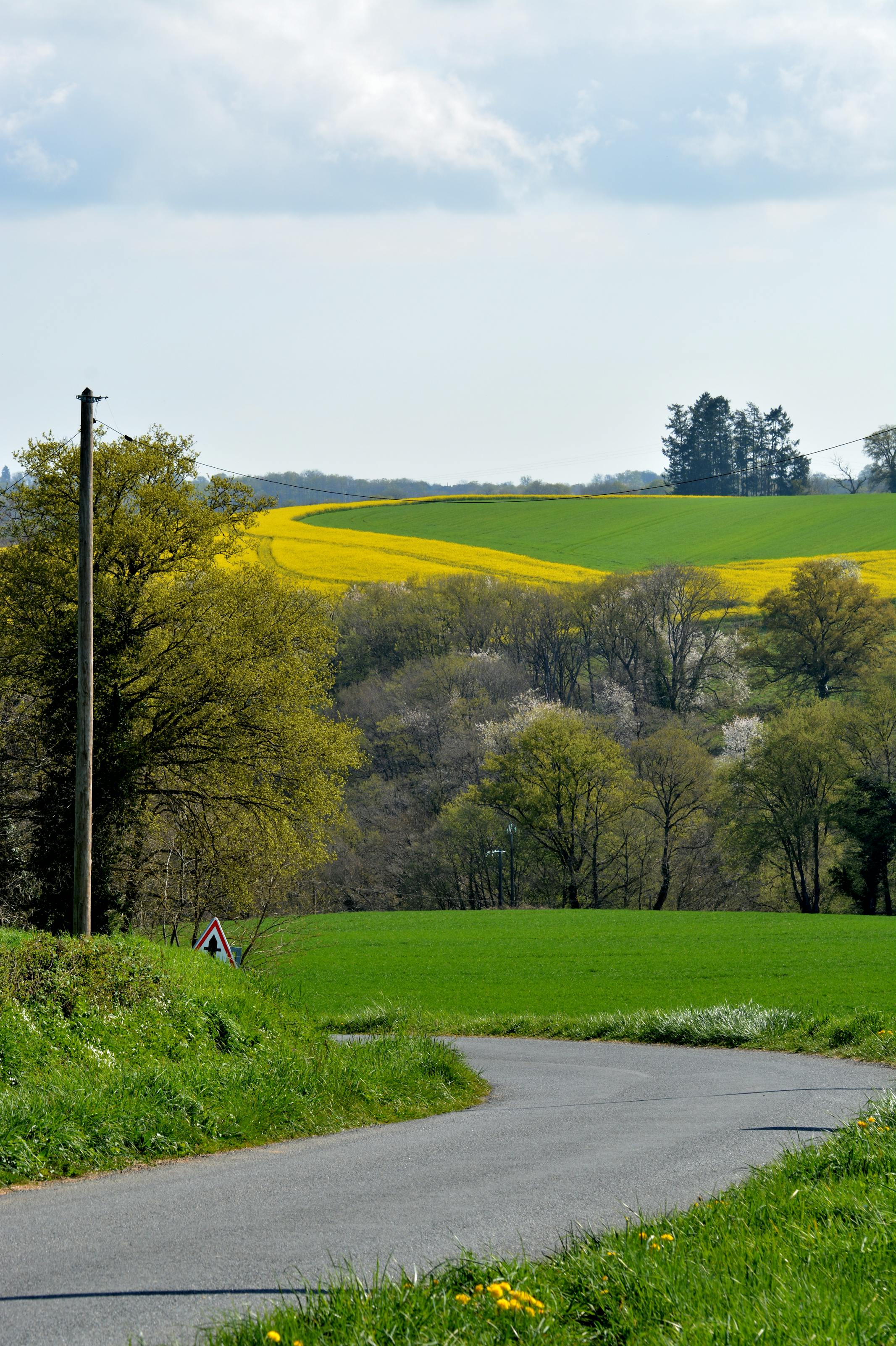 Route de campagne en Creuse au printemps avec champs de colza