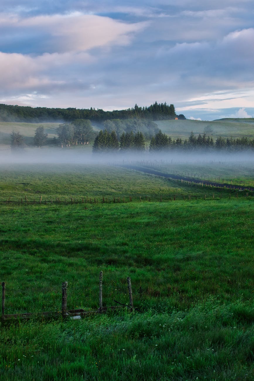 Champs verts dans la campagne française au matin
