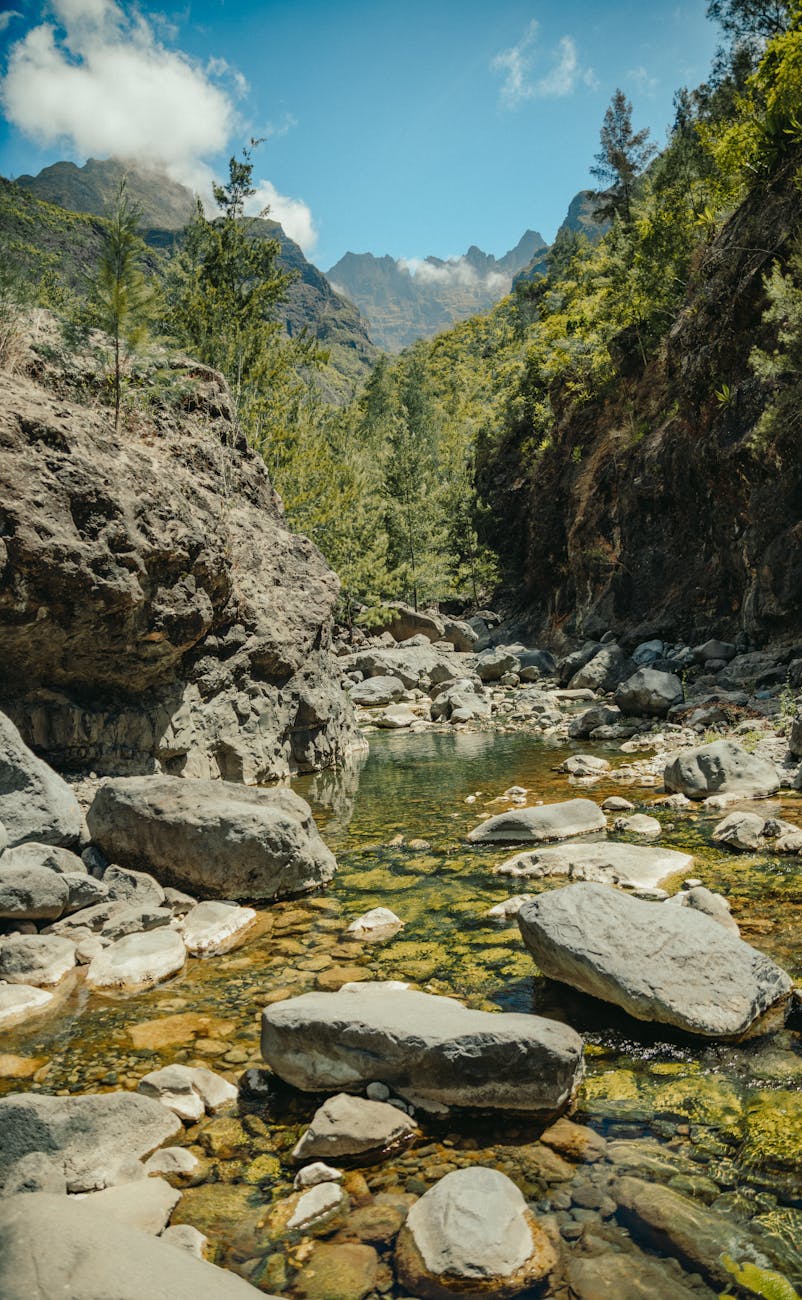 Ruisseau de montagne à Cilaos
