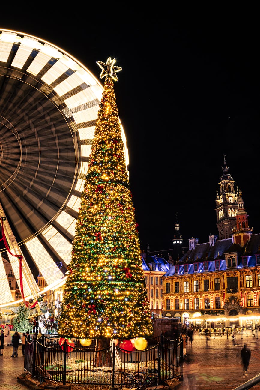 Grande roue et marché de Noël illuminés à Lille