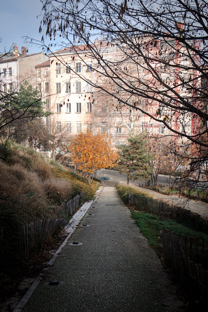 Allée d'un parc lyonnais en automne