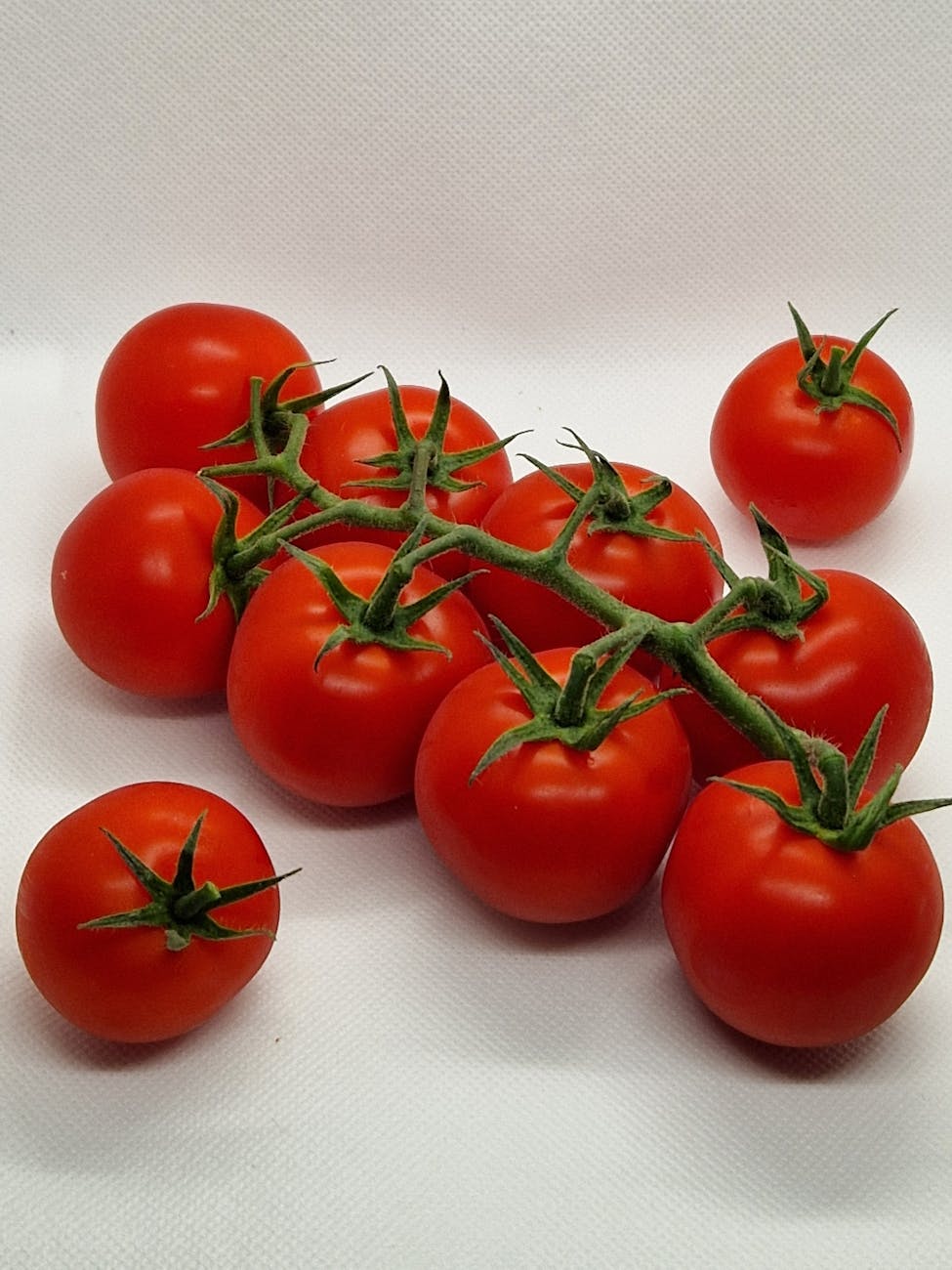 Tomates rouges mûres sur la vigne