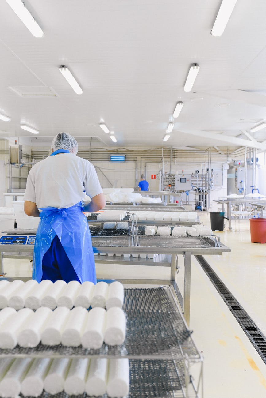 Ouvrière dans une fromagerie industrielle