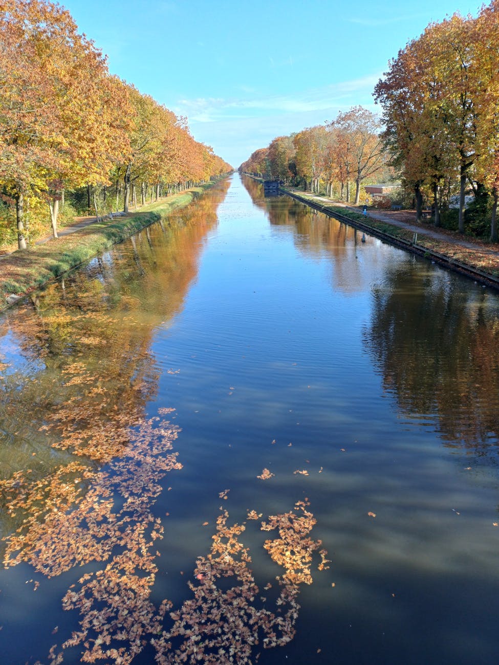 Canal serein avec arbres d'automne reflétés dans l'eau