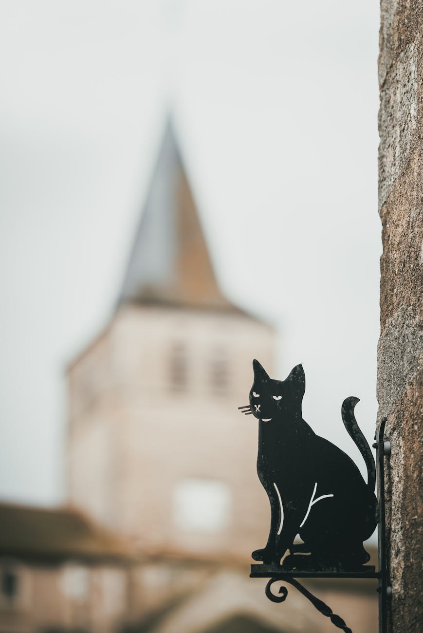 Enseigne d'une librairie à Montmorillon