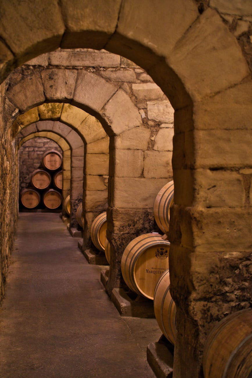 Caves voûtées en pierre avec fûts en bois