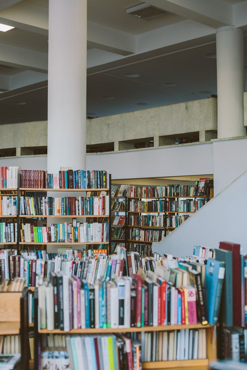 Bibliothèque universitaire avec rayonnages