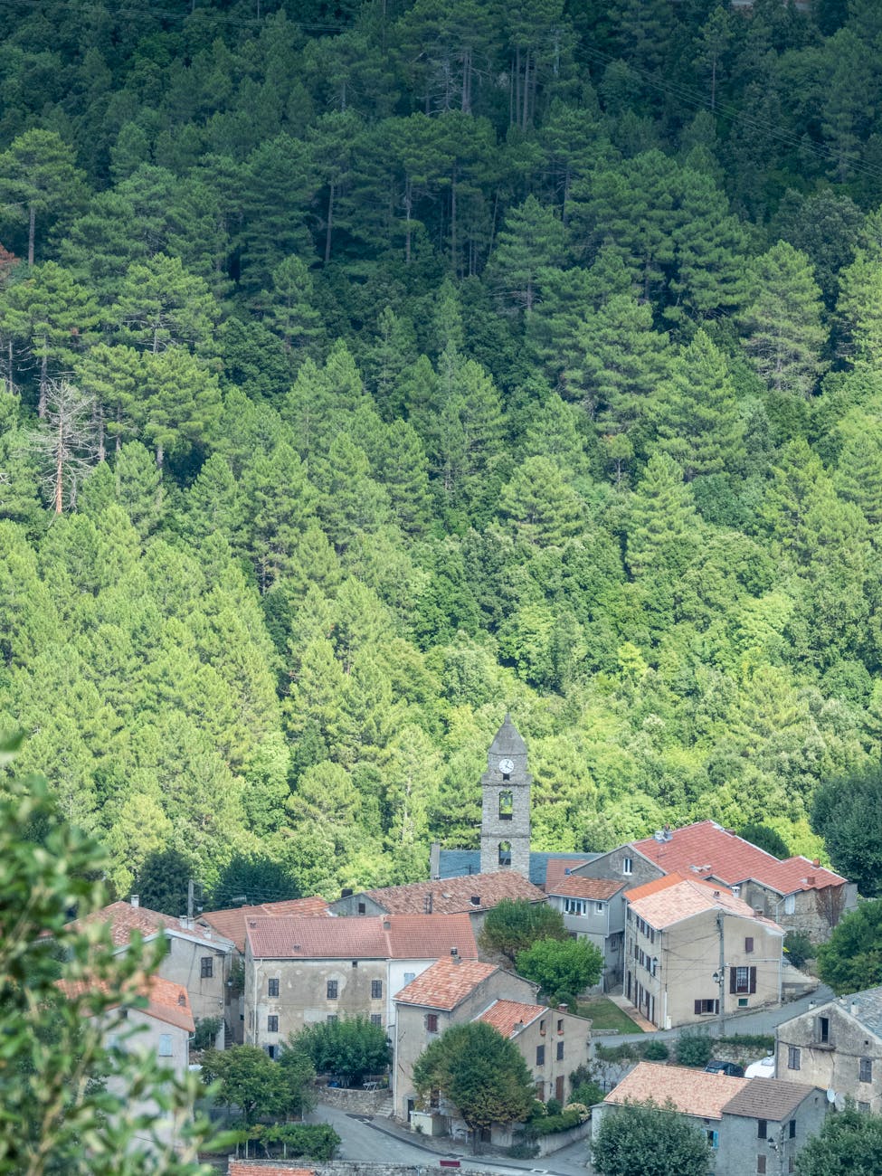 Village ardéchois entouré de forêt avec église traditionnelle