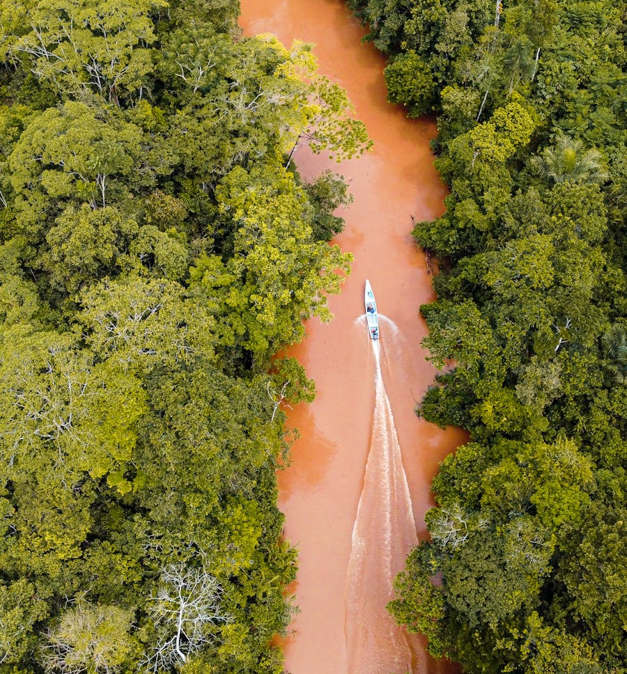 Estuaire amazonien avec pirogue