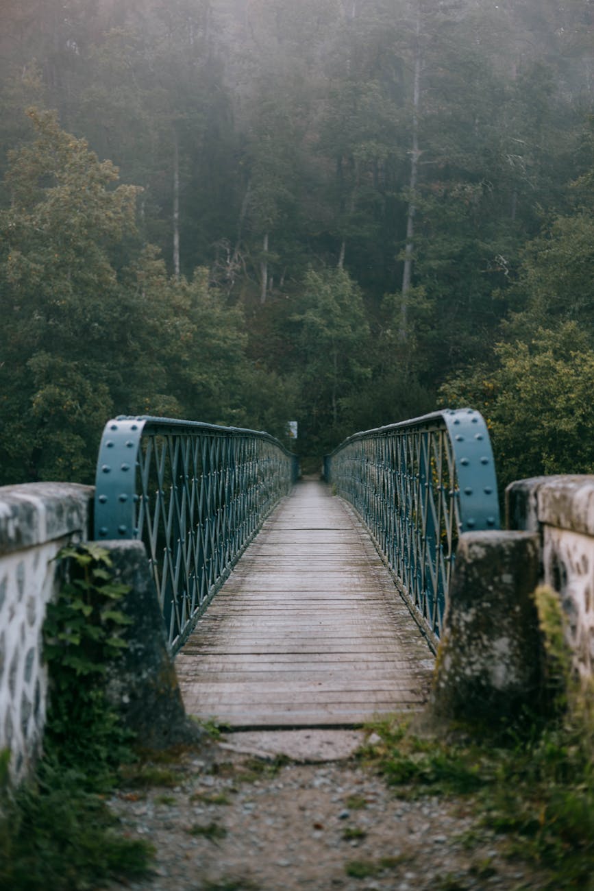 Pont en bois dans une forêt brumeuse aux Ancizes-Comps, Auvergne