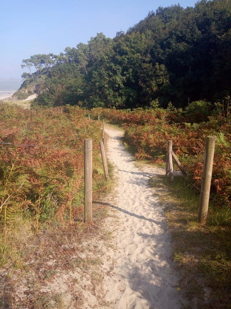Sentier côtier dans la baie de Saint-Brieuc à Hillion