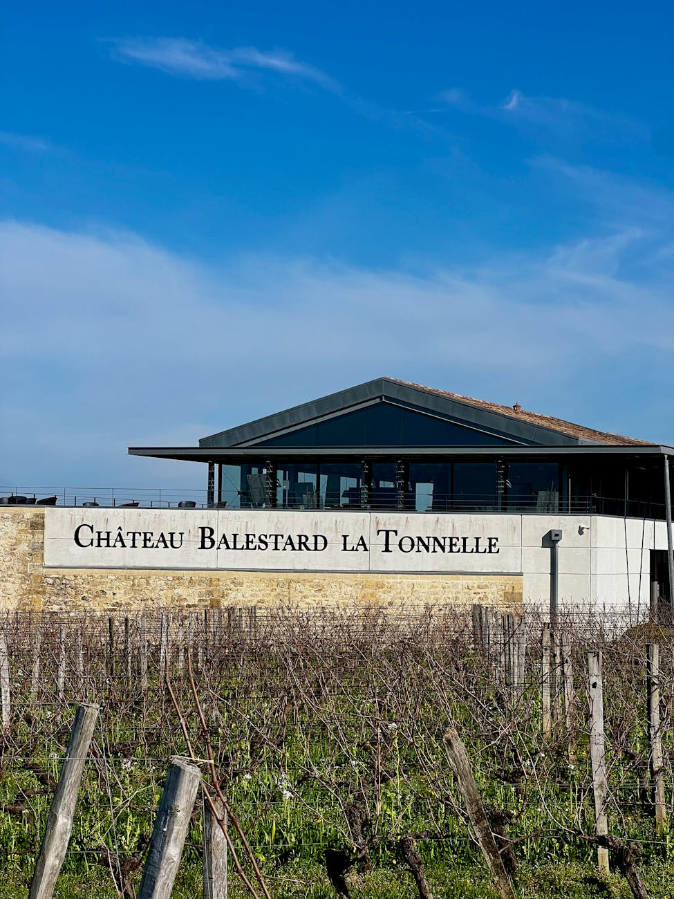 Vignoble avec château sous ciel bleu