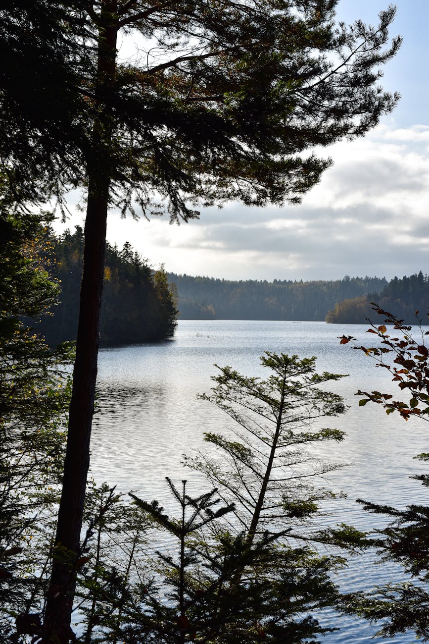 Lac forestier paisible à Pierre-Percée, Grand Est