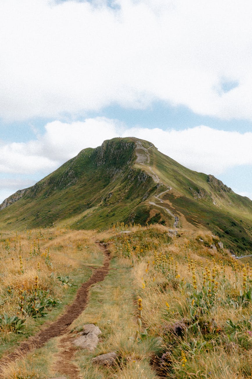 Sentier de montagne traversant la région d'Auvergne-Rhône-Alpes