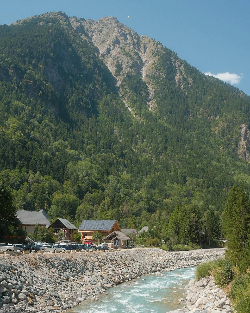 Vallée alpine verdoyante avec montagnes