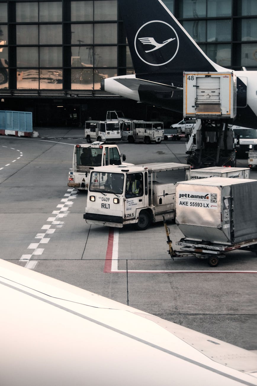 Opérations cargo et tarmac d'aéroport