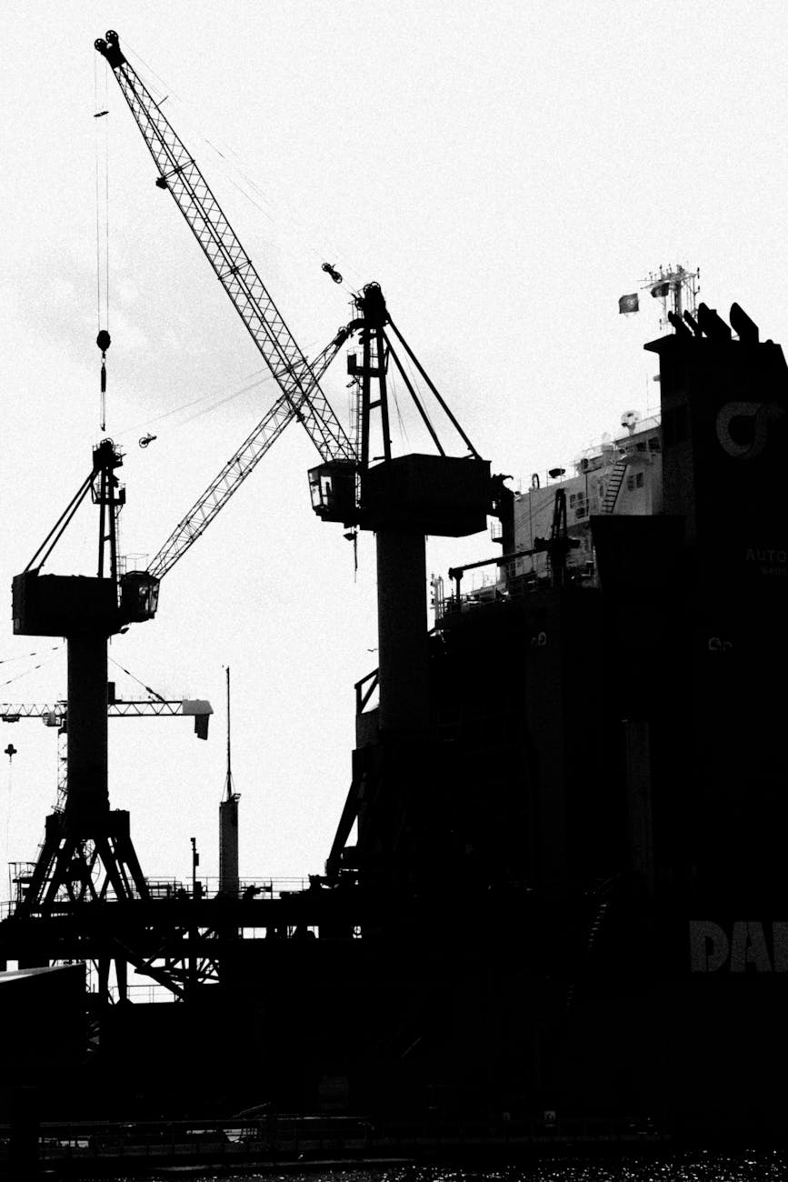 Silhouettes de grues portuaires en noir et blanc