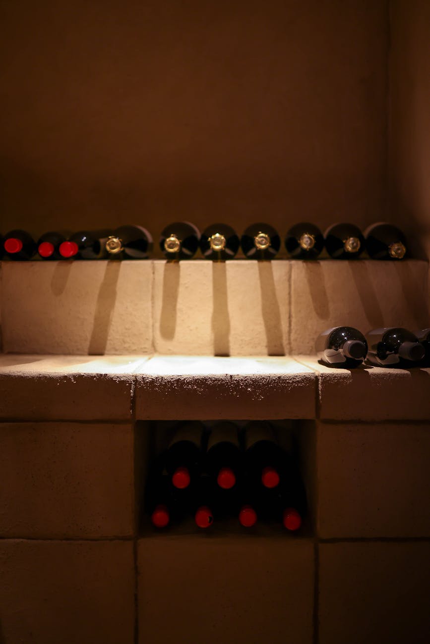 Cave à vin avec rangées de bouteilles vintage