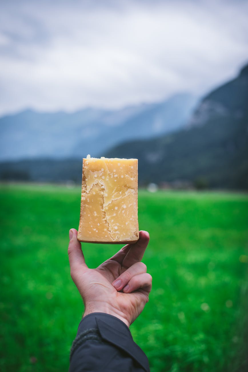 Main tenant un bloc de fromage avec un paysage de montagne en arrière-plan