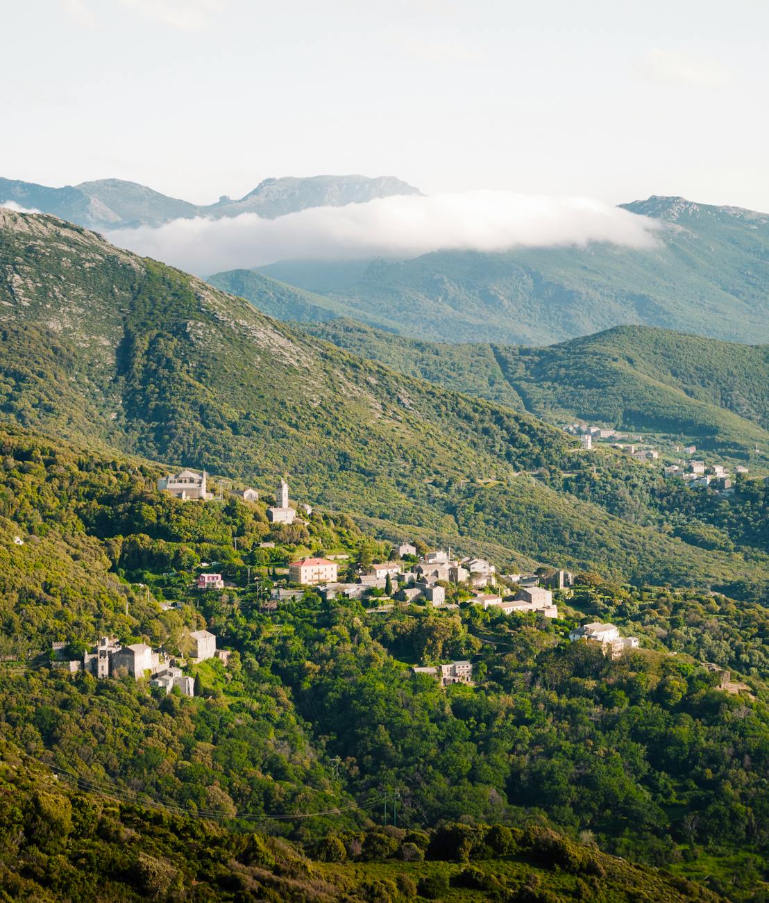 Village corse niché dans des collines verdoyantes en été