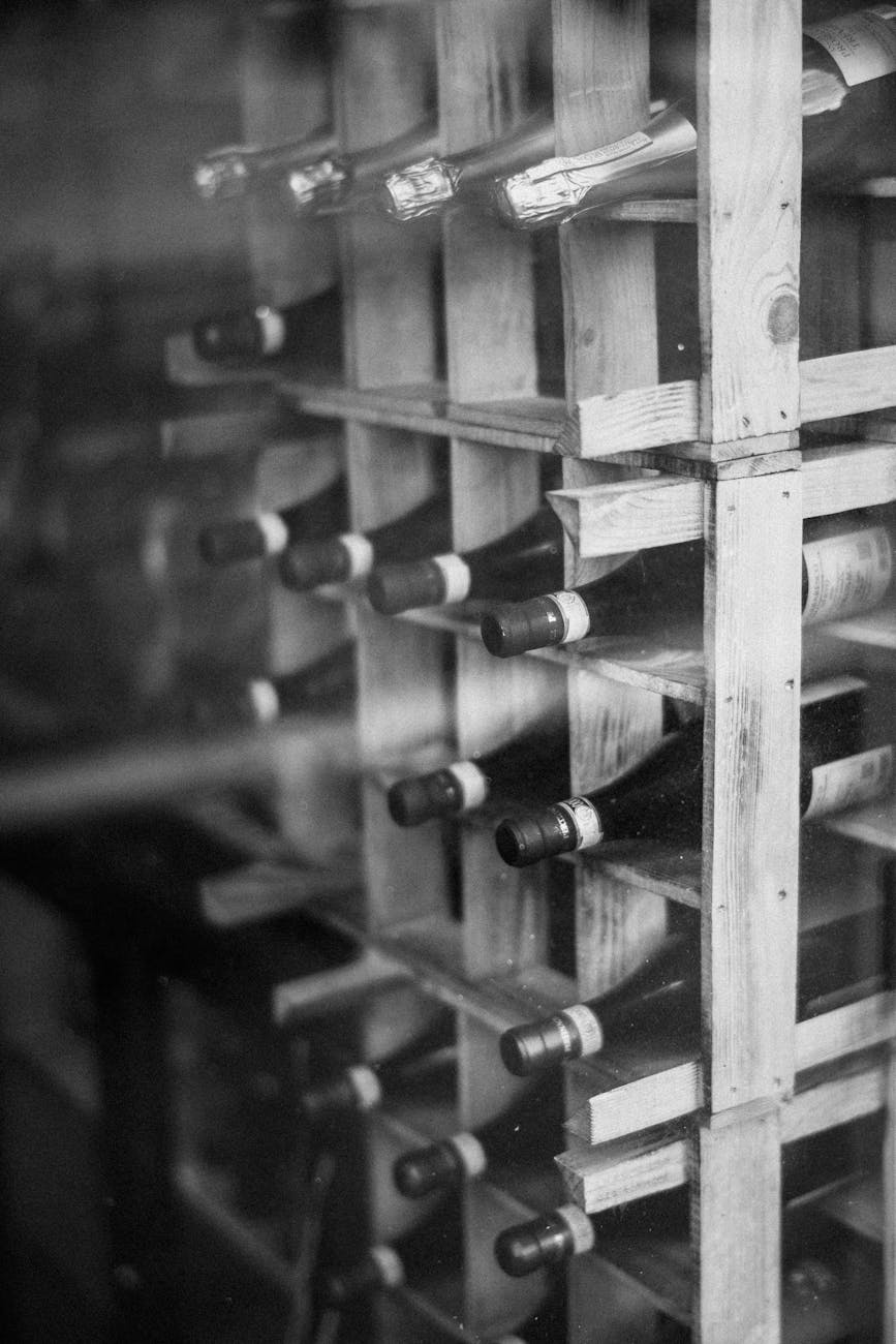 Bouteilles de vin alignées dans des casiers de cave