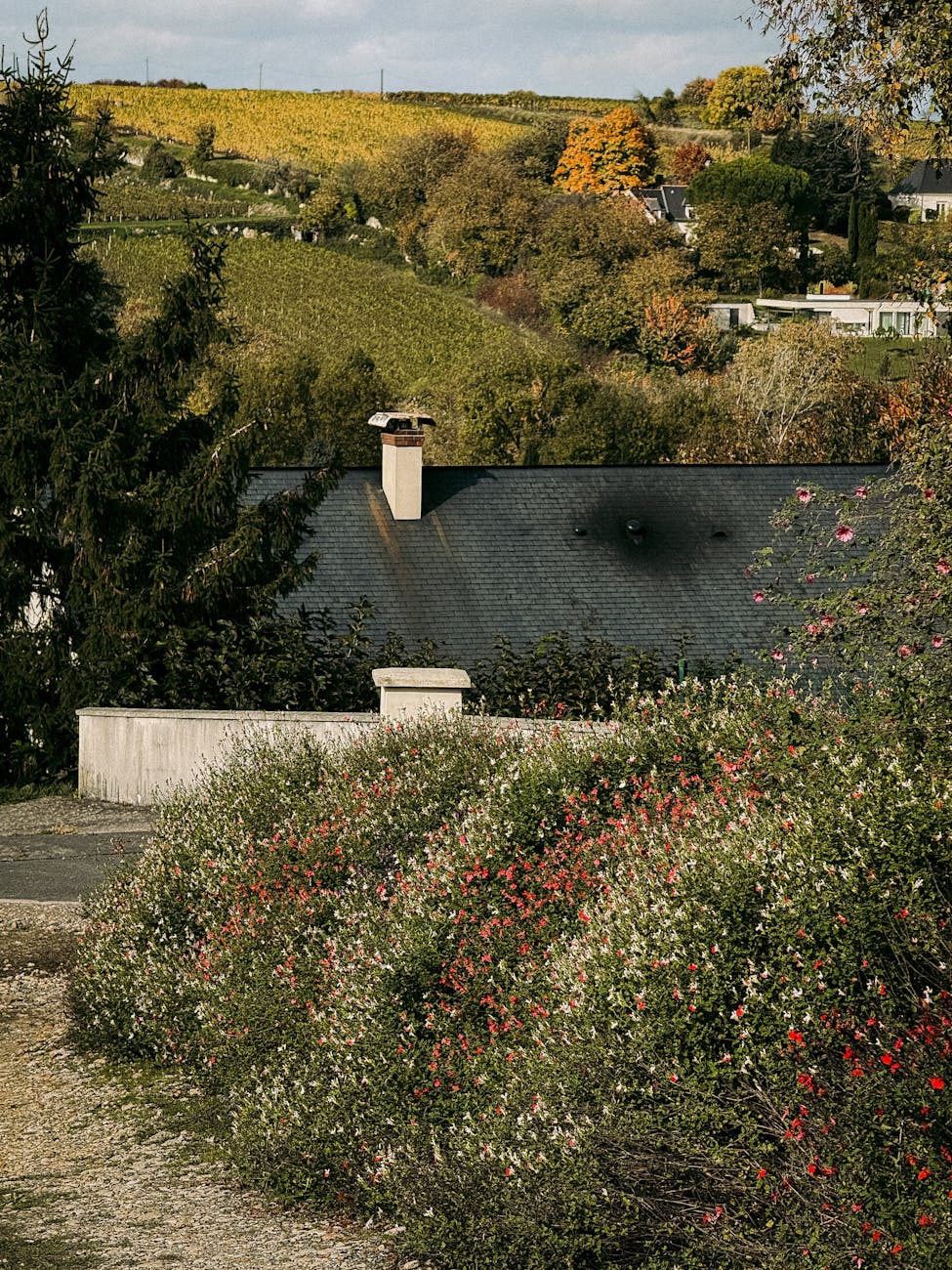Vignobles français en automne avec maison rurale