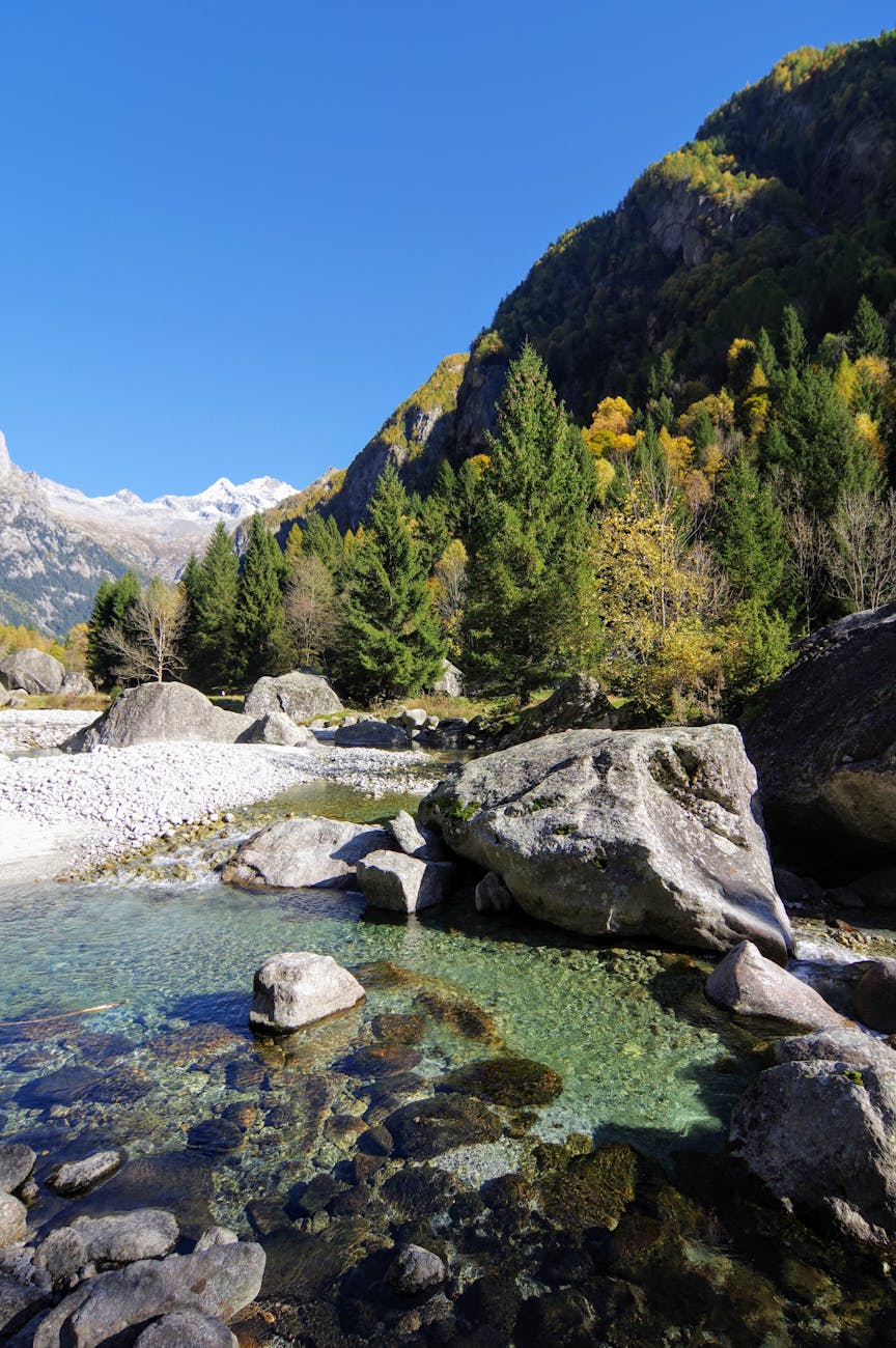 Vallée alpine avec rivière et feuillage d'automne
