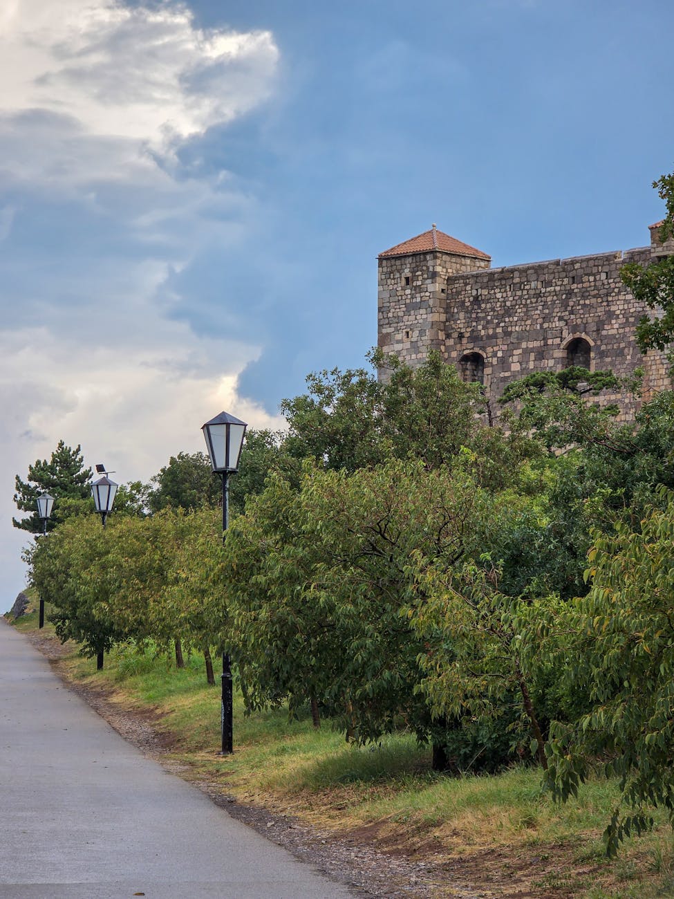 Château historique en pierre bordé d'arbres luxuriants sous un ciel nuageux