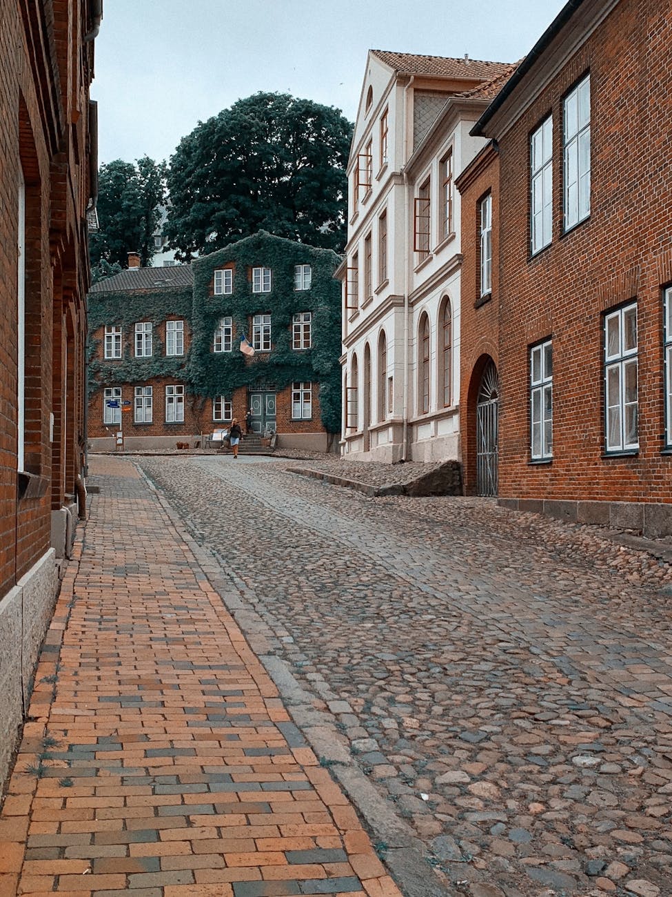 Ruelle pavée d'une ville européenne historique