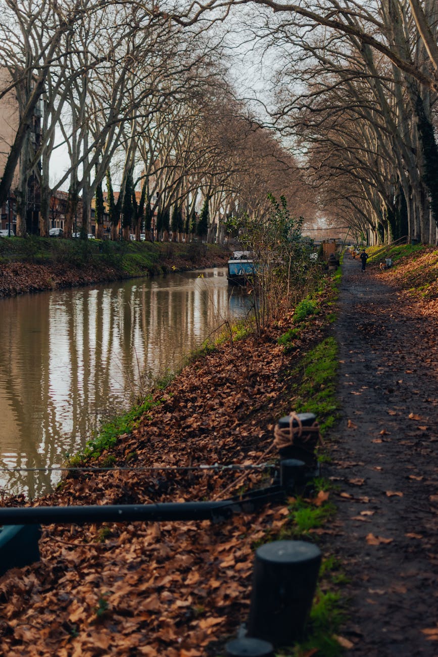 Canal du Midi à Toulouse, arbres en automne