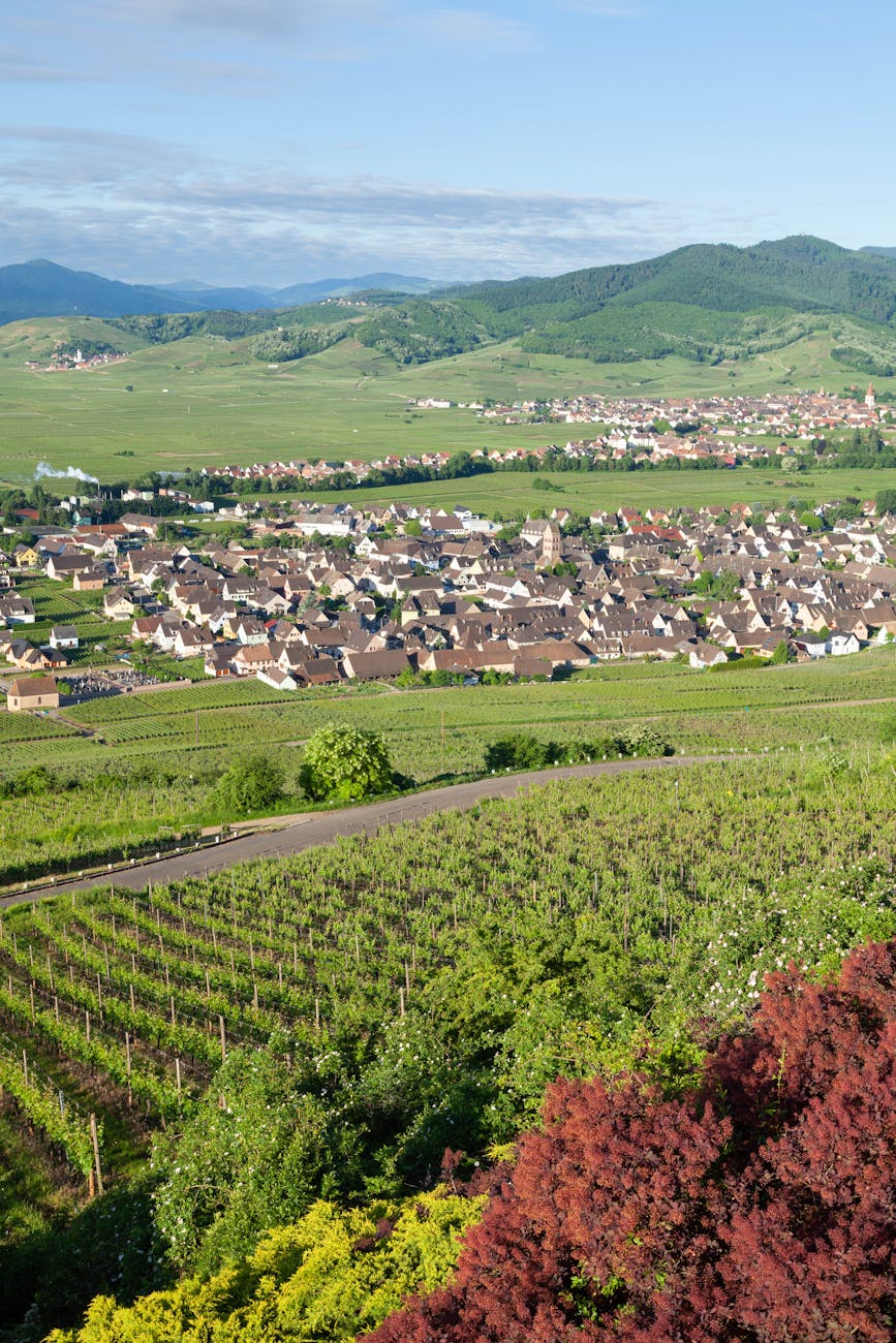 Vue aérienne de vignoble menant à un village niché parmi les collines