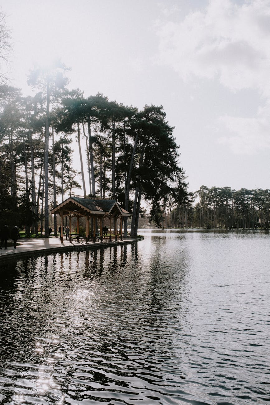 Lac avec arbres et pavillon dans un parc parisien