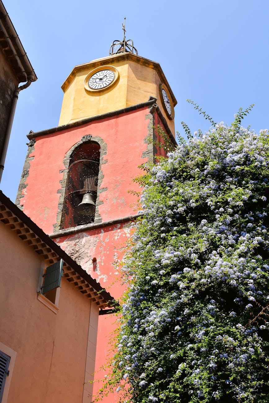 Clocher de l'église de Saint-Tropez avec fleurs au premier plan