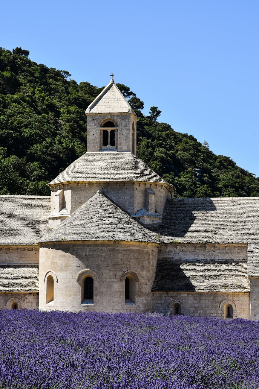 Abbaye de Sénanque entourée de champs de lavande en Provence