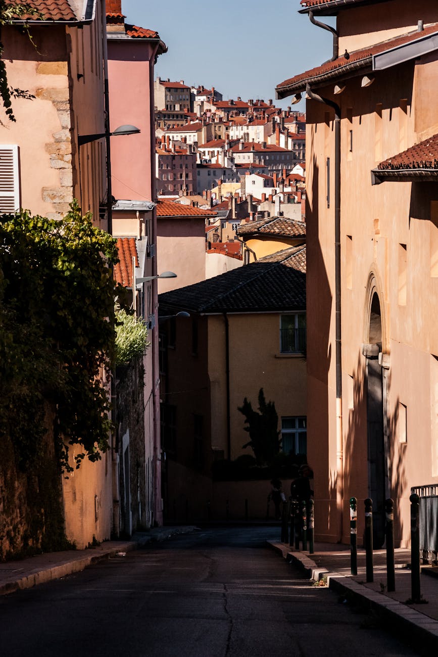 Vue sur les ruelles et toits de la Métropole de Lyon