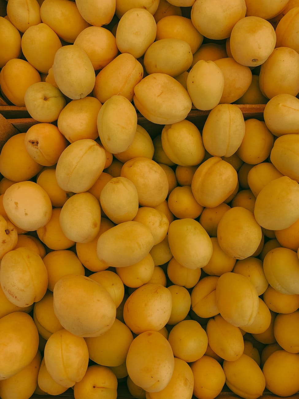 Mirabelles jaunes mûres en tas