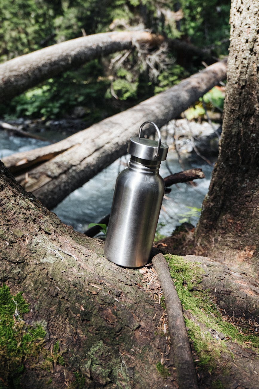 Bouteille en inox sur un tronc moussu près d'un ruisseau