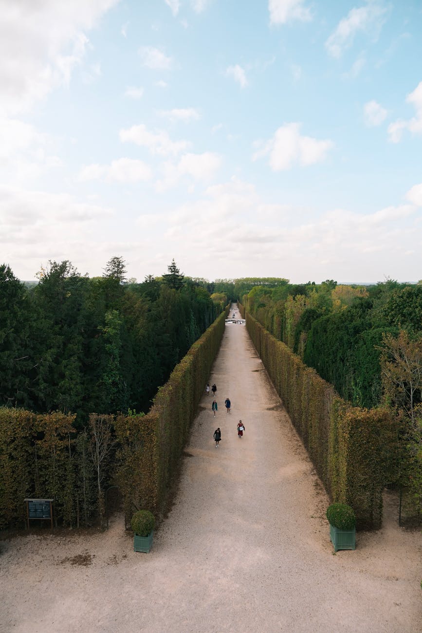 Vue aérienne des jardins de Versailles