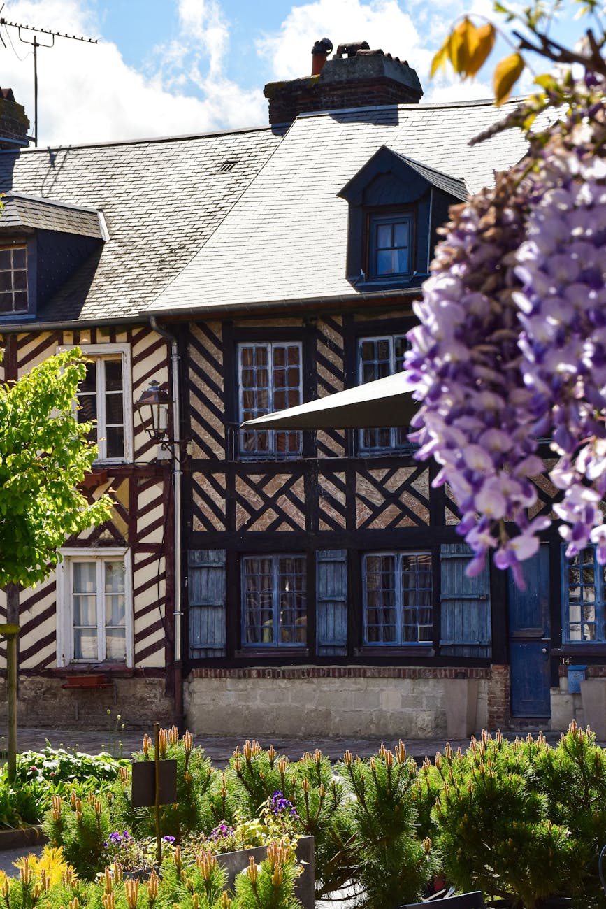 Maison à colombages normande couverte de glycine