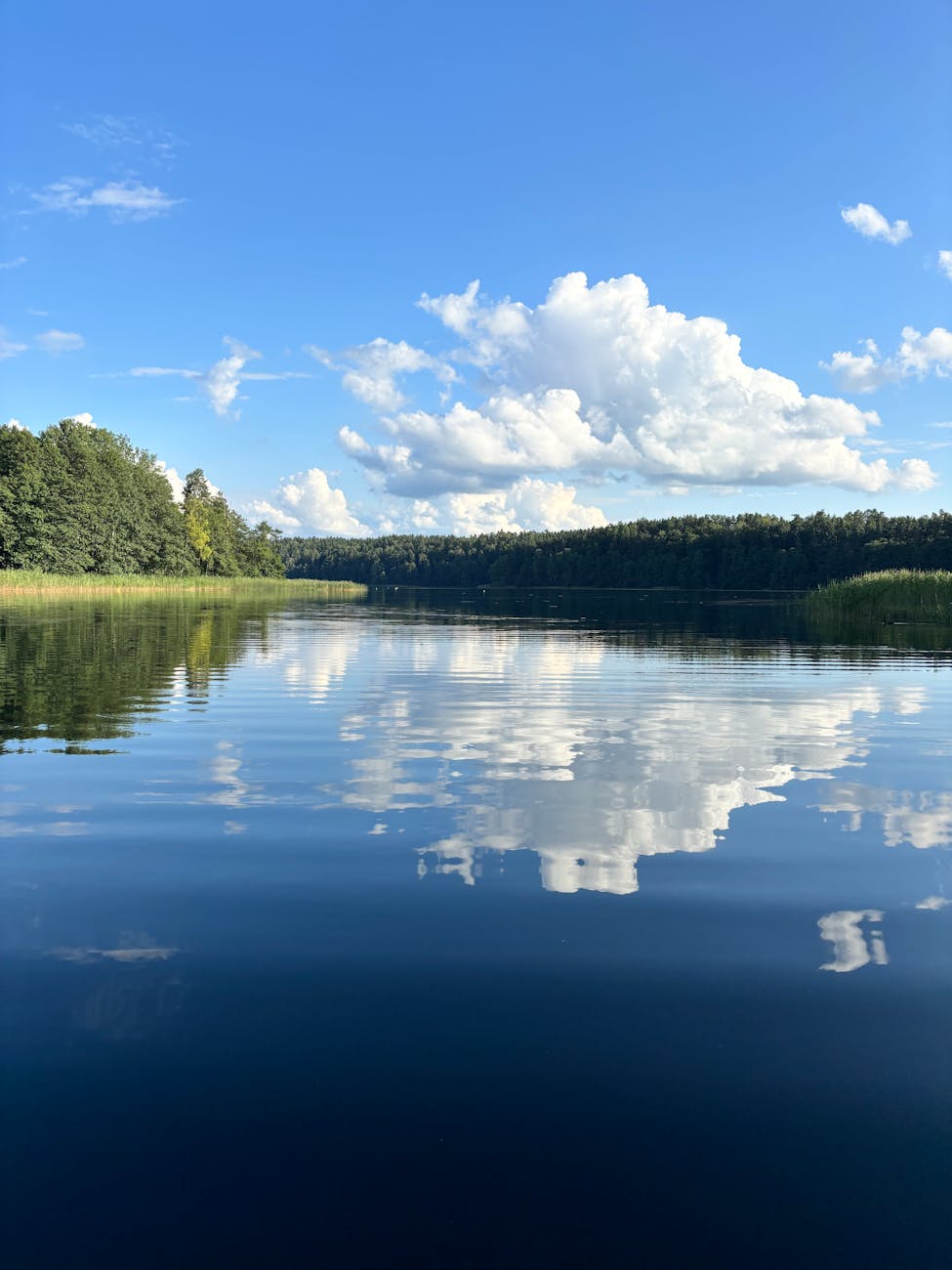 Spokojne jezioro z odbiciem nieba i drzew